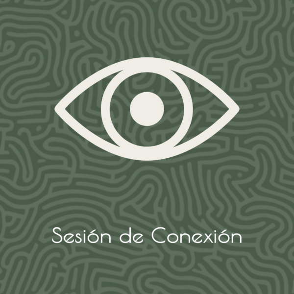 Sesiones de Conexión